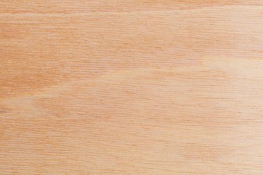 Afrika 'daki bir ağacın açık dokulu kesik yüzeyi. Ahşap zemin ya da tasarım için boş. Metin veya etiketler için bir grafik kaynağı ya da altında yatan.