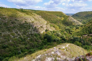 Doğu Avrupa 'nın dağlık doğası. Metin veya yazıtlar için kopyalama alanı olan arkaplan
