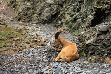 Dağıstan turu. Seçici odaklı arkaplan ve metin için alanı kopyala