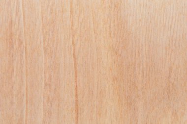 Afrika 'daki bir ağacın açık dokulu kesik yüzeyi. Ahşap zemin ya da tasarım için boş. Metin veya etiketler için bir grafik kaynağı ya da altında yatan.