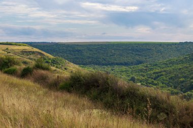 Doğu Avrupa 'nın dağlık doğası. Metin veya yazıtlar için kopyalama alanı olan arkaplan