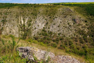 Doğu Avrupa 'nın vahşi kayalık ve dağlık doğası. Metin için kopya alanı olan peyzaj arkaplanı. Seçici odaklanma, uyumlu. Tipovo veya Tipova köyü, Moldova 'ya hoş geldiniz..