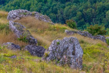 Doğu Avrupa 'nın vahşi kayalık ve dağlık doğası. Metin için kopya alanı olan peyzaj arkaplanı. Seçici odaklanma, uyumlu. Naslavcha Köyü, Moldova 'ya hoş geldiniz..