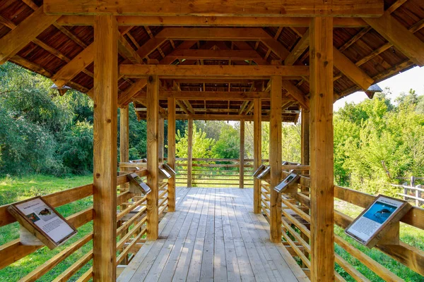 4 Eylül 2021 Padurea Domneasca Moldova Domneasca Domneasca, turistik bölge. Editör kullanımı için. Arkaplan