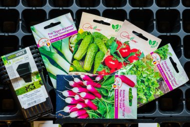 Seeds on the background of trays for seedlings. February 17, 2022 Beltsy Moldova.