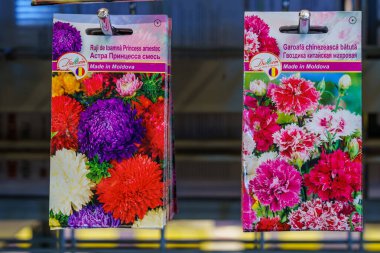 Flower seeds aster princess mix and Chinese terry carnation for seedlings. February 17, 2022 Beltsy Moldova.