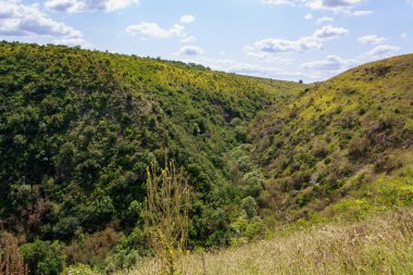 Doğu Avrupa 'nın dağlık doğası. Metin veya yazıtlar için kopyalama alanı olan arkaplan