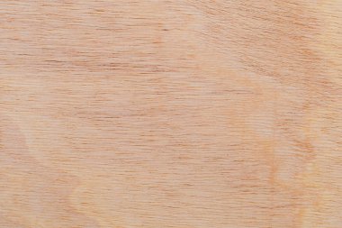 Afrika 'daki bir ağacın açık dokulu kesik yüzeyi. Ahşap zemin ya da tasarım için boş. Metin veya etiketler için bir grafik kaynağı ya da altında yatan.