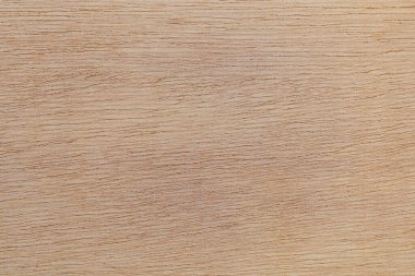 Afrika 'daki bir ağacın açık dokulu kesik yüzeyi. Ahşap zemin ya da tasarım için boş. Metin veya etiketler için bir grafik kaynağı ya da altında yatan.