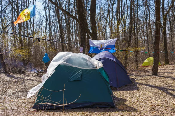 March 2022 Mindrestii Moldova Tourist Camp Tents Spring Forest News — Stock fotografie