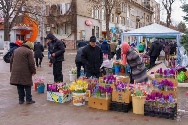 8 Mart 2022 Beltsy, Moldova. Uluslararası Kadınlar Günü 'nde şehir fuarında sokak çiçeği ticareti. İllüstrasyon Editörü.