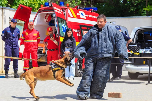 May 2022 Balti Moldova Illustrative Editorial Background Police Officers Dog — Stock Photo, Image