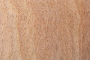 Afrika 'daki bir ağacın açık dokulu kesik yüzeyi. Ahşap zemin ya da tasarım için boş. Metin veya etiketler için bir grafik kaynağı ya da altında yatan.