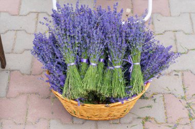 Sepette satılık lavanta buketleri. Arkaplan