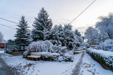 Karda park et. Seçici odaklı kış arkaplanı