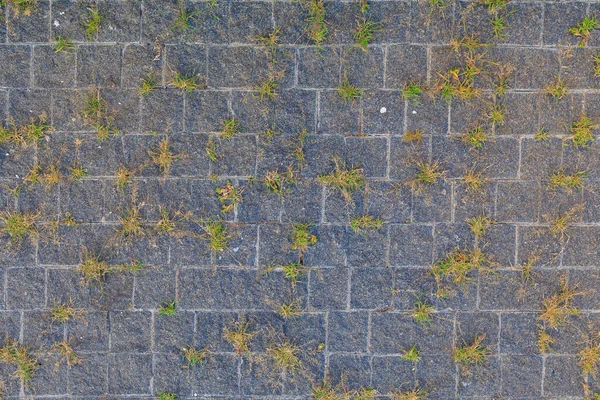 Rough Textured Pavement Surface Made Tiles Grass Seams Backdrop Design — Stock Photo, Image