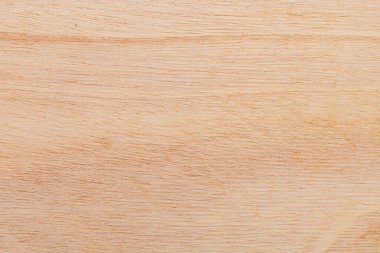 Afrika 'daki bir ağacın açık dokulu kesik yüzeyi. Ahşap zemin ya da tasarım için boş. Metin veya etiketler için bir grafik kaynağı ya da altında yatan.