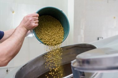 Bira fabrikasındaki fıçıya malt ekleme süreci, hareket bulanıklığı, bira demleme buharı. Seçici odaklı arkaplan ve metin için alanı kopyala