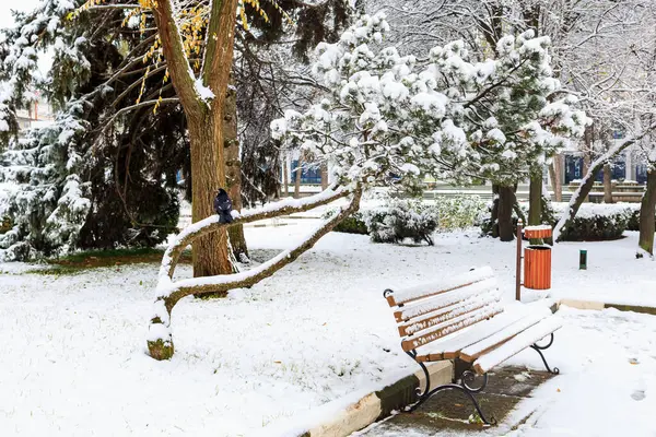 stock image Bench in the snow. Winter background with selective focus