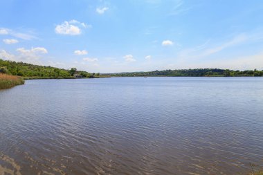 Göl, Doğu Avrupa 'nın doğal su kaynağı. Seçici odak ve kopyalama alanı olan arkaplan