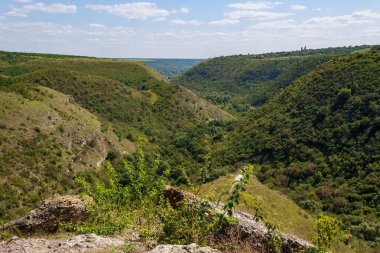 Doğu Avrupa 'nın dağlık doğası. Metin veya yazıtlar için kopyalama alanı olan arkaplan