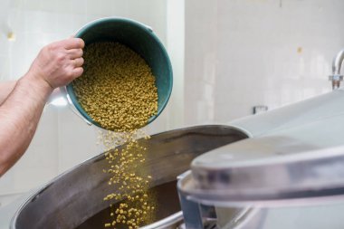Bira fabrikasındaki fıçıya malt ekleme süreci, hareket bulanıklığı, bira demleme buharı. Seçici odaklı arkaplan ve metin için alanı kopyala