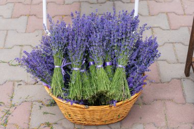 Sepette satılık lavanta buketleri. Arkaplan