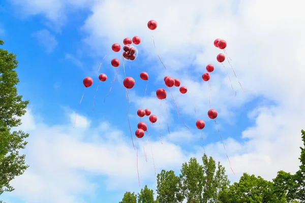Balloons released into the sky on a holiday.