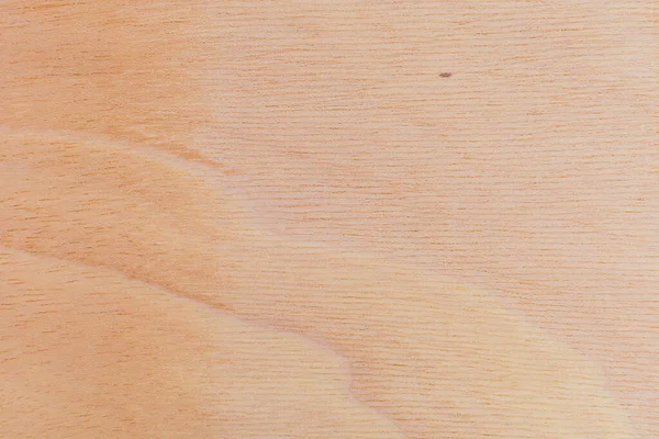 Ελαφριά Τραχιά Επιφάνεια Κοπής Αφρικανικού Δέντρου Ξύλο Φόντο Κενό Για — Φωτογραφία Αρχείου