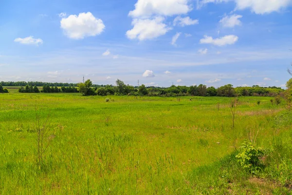 田舎の草原か緑の畑でした 選択的なフォーカスとコピースペースの背景 — ストック写真