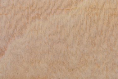 Afrika 'daki bir ağacın açık dokulu kesik yüzeyi. Ahşap zemin ya da tasarım için boş. Metin veya etiketler için bir grafik kaynağı ya da altında yatan.