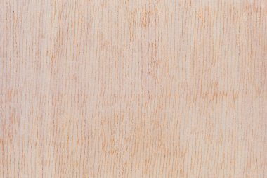 Afrika 'daki bir ağacın açık dokulu kesik yüzeyi. Ahşap zemin ya da tasarım için boş. Metin veya etiketler için bir grafik kaynağı ya da altında yatan.