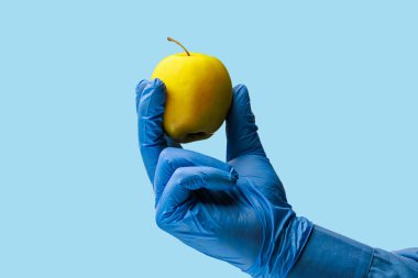 Doktorun elinde bir elma. Özenle seçilmiş bir arka plan. İzole edilmiş mavi tıbbi arkaplan