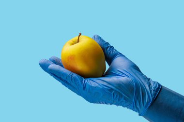 Doktorun elinde bir elma. Özenle seçilmiş bir arka plan. İzole edilmiş mavi tıbbi arkaplan