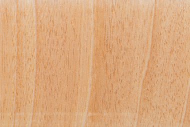 Afrika 'daki bir ağacın açık dokulu kesik yüzeyi. Ahşap zemin ya da tasarım için boş. Metin veya etiketler için bir grafik kaynağı ya da altında yatan.