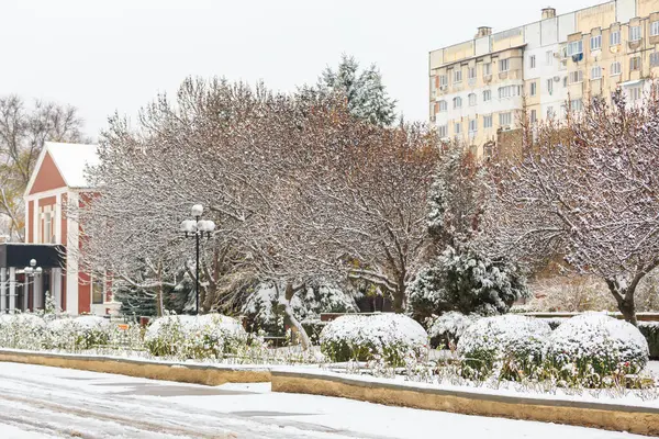 City Snow Winter Background Selective Focus — Stock Photo, Image