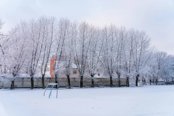 Árboles Nieve Fondo Invierno Con Enfoque Selectivo — Foto de Stock