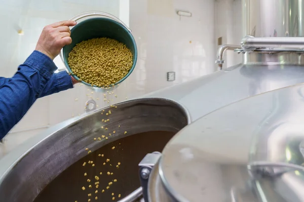 Stock image The process of adding malt to a vat at a brewery, motion blur, steam from brewing beer. Background with selective focus and copy space for text