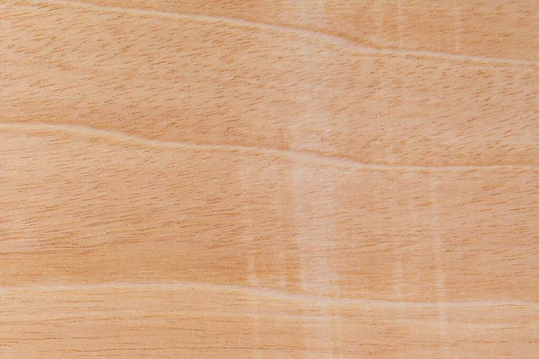Leicht Grob Strukturierte Schnittfläche Eines Afrikanischen Baumes Holz Hintergrund Oder — Stockfoto