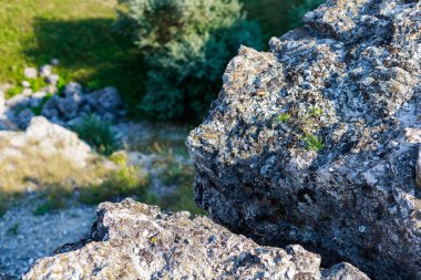 Doğu Avrupa 'nın vahşi kayalık ve dağlık doğası. Metin için kopya alanı olan peyzaj arkaplanı. Seçici odaklanma, uyumlu. Coban ya da Cobani köyü, Moldova 'ya hoş geldiniz..