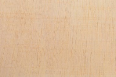 Afrika 'daki bir ağacın açık dokulu kesik yüzeyi. Ahşap zemin ya da tasarım için boş. Metin veya etiketler için bir grafik kaynağı ya da altında yatan.