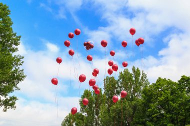 Balloons released into the sky on a holiday.