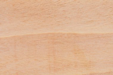 Afrika 'daki bir ağacın açık dokulu kesik yüzeyi. Ahşap zemin ya da tasarım için boş. Metin veya etiketler için bir grafik kaynağı ya da altında yatan.