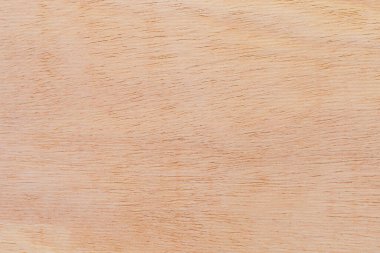 Afrika 'daki bir ağacın açık dokulu kesik yüzeyi. Ahşap zemin ya da tasarım için boş. Metin veya etiketler için bir grafik kaynağı ya da altında yatan.