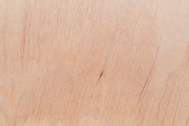 Afrika 'daki bir ağacın açık dokulu kesik yüzeyi. Ahşap zemin ya da tasarım için boş. Metin veya etiketler için bir grafik kaynağı ya da altında yatan.