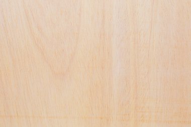 Afrika 'daki bir ağacın açık dokulu kesik yüzeyi. Ahşap zemin ya da tasarım için boş. Metin veya etiketler için bir grafik kaynağı ya da altında yatan.