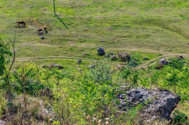 Doğu Avrupa 'nın vahşi kayalık ve dağlık doğası. Metin için kopya alanı olan peyzaj arkaplanı. Seçici odaklanma, uyumlu. Coban ya da Cobani köyü, Moldova 'ya hoş geldiniz..