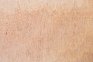 Afrika 'daki bir ağacın açık dokulu kesik yüzeyi. Ahşap zemin ya da tasarım için boş. Metin veya etiketler için bir grafik kaynağı ya da altında yatan.