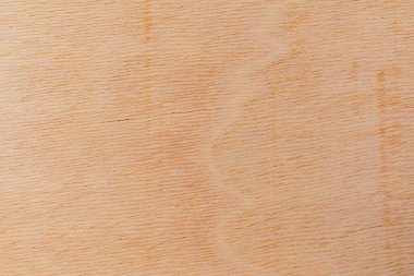 Afrika 'daki bir ağacın açık dokulu kesik yüzeyi. Ahşap zemin ya da tasarım için boş. Metin veya etiketler için bir grafik kaynağı ya da altında yatan.