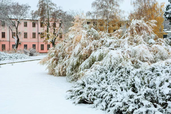 stock image City in the snow. Winter background with selective focus